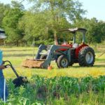 Les huiles en cuisine