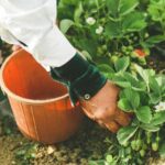 Camion rôtisserie neuf ou occasion : lequel correspond vraiment à votre projet ?